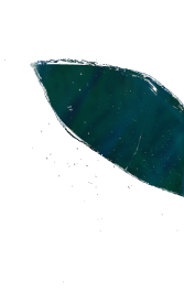 Crystal Up Image 4 - Matices Tequila